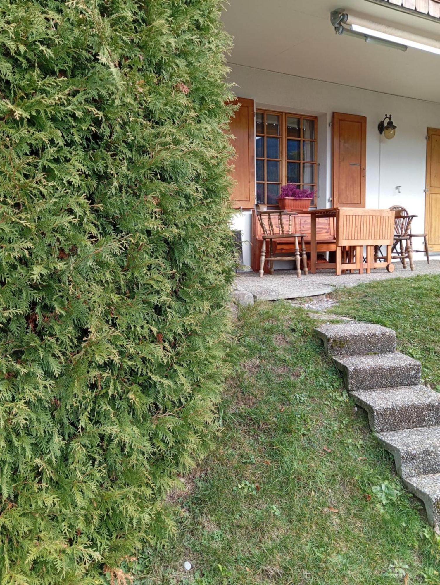 Cozy Apartment In The Heart Of The Alps Chateau-d'Oex Exterior photo